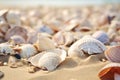 Seashells shells laying on white sand sea beach tropical sanded seashore sandy seacoast backdrop beauty calm tranquil Royalty Free Stock Photo