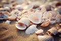 Seashells shells laying on white sand sea beach tropical sanded seashore sandy seacoast backdrop beauty calm tranquil Royalty Free Stock Photo