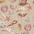 seashells shells marine nature aquatic underwater on white background sketch realistic style