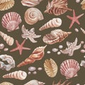 seashells shells marine nature aquatic underwater world wild nature Hand drawn watercolor illustration