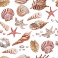 seashells shells wild nature Hand drawn watercolor illustration on white background sketch realistic style