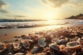 Seashells shine on a beach, creating an exotic tropical vacation scenery Royalty Free Stock Photo