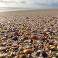 Seashells and small pebbles scatter across a sandy beach. The mixture of shells Royalty Free Stock Photo