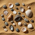 Seashells and smooth pebbles arranged on coarse, golden sand. Various shells, including clam and Royalty Free Stock Photo