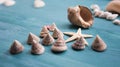 Seashells, snails, the sun. Composition, still-life. The concept of summer vacation and moods. Royalty Free Stock Photo