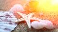 Seashells, snails, the sun. Composition, still-life. The concept of summer vacation and moods. Royalty Free Stock Photo