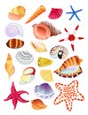 Seashells and starfish Royalty Free Stock Photo