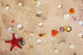Seashells and starfish on the beach in the sand Royalty Free Stock Photo