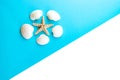 Seashells and starfish on blue background. Top view. Summer flat lay background, travel concept. Royalty Free Stock Photo