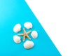 Seashells and starfish on blue background. Top view. Summer flat lay background, travel concept. Royalty Free Stock Photo