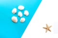 Seashells and starfish on blue background. Top view. Summer flat lay background, travel concept. Royalty Free Stock Photo