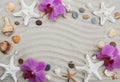 Seashells and starfish border Royalty Free Stock Photo