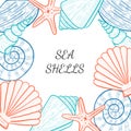 Seashells, starfish border 1