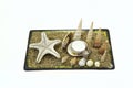 Seashells, starfish and candle Royalty Free Stock Photo