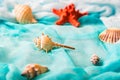 Seashells and starfish on cian background