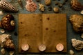 Seashells and starfish on the cracked blue background. The empty or open an old book. Spa Royalty Free Stock Photo