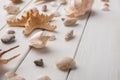 Seashells on white wood, sea vacation background Royalty Free Stock Photo