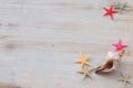 Seashells and starfish on light gray shabby background. Time of sea and vacation.