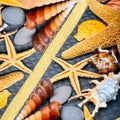 Seashells, starfish, pebbles