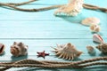 Seashells, starfish and a rope on a background of painted boar