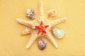 Seashells and starfish on sand Royalty Free Stock Photo