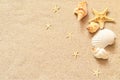 Seashells and starfish on the sand background. Summer beach.