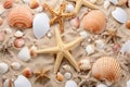 Seashells and starfish on sand background. Summer vacation concept, Sandy beach with collection of seashells and starfish as Royalty Free Stock Photo