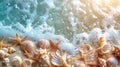 Seashells and Starfish on Sandy Beach Royalty Free Stock Photo
