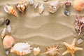 Seashells and pebbles background, natural seashore stones Royalty Free Stock Photo