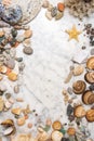 Seashells, starfish and sea pebbles frame, vertical composition of sea stones and seashells, marine composition, composition of se Royalty Free Stock Photo