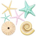 Seashells, starfish, sea urchins retro style vector elements isolated on white Royalty Free Stock Photo