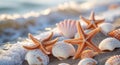 Seashells and Starfish Surround Sandy Beach Wave Royalty Free Stock Photo