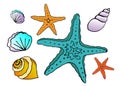 Seashells and starfish in watercolor style on a white background. Vector drawing by hand. The art of nature. Royalty Free Stock Photo