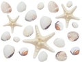 Seashells, starfish on a white isolated background view from the top Royalty Free Stock Photo