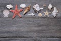 Seashells and starfish on wooden background. Copy space