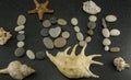 Seashells, starfish and word LOVE made of sea smooth stones on black granite with white spots background