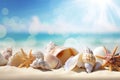 Seashells and starfishs on a sandy beach Royalty Free Stock Photo