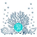 Seashells, summer, holidays, set of seashells vector. Hand drawn sea shells and coral. Beautiful inscription in Royalty Free Stock Photo