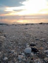 Seashells and sunset. Redang beach, Malaysia.