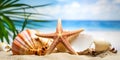 Seashells on a tropical seashore Royalty Free Stock Photo