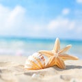 Seashells on a tropical seashore Royalty Free Stock Photo