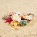 Seashells und starfish on sand beach Royalty Free Stock Photo
