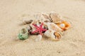 Seashells und starfish on sand beach postcard Royalty Free Stock Photo