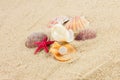Seashells und starfish on sand beach postcard Royalty Free Stock Photo