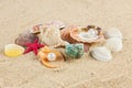 Seashells und starfish on sand beach postcard