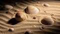 Seashells of various sizes and types are scattered on rippled sand Royalty Free Stock Photo