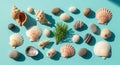 Seashells of various types, including conch and scallop shells, are arranged on a Royalty Free Stock Photo