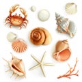 Seashells vector icons Royalty Free Stock Photo