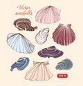 Seashells vector set. Collection of different isolated shells.