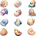 Seashells vector set. Illustrations of engraved line.
